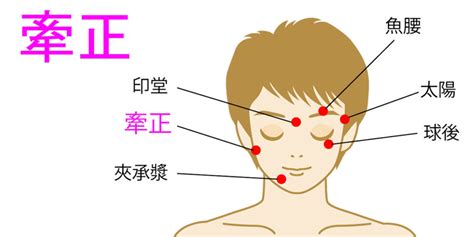 牽正穴|醫砭 » 中華針灸 » 牽正